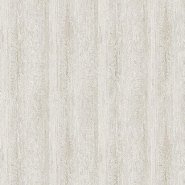 ڳʡ͢ɻ GENEVA -Veyrier- SketchTwenty3ʥꥹˡ53cmҡ10m 