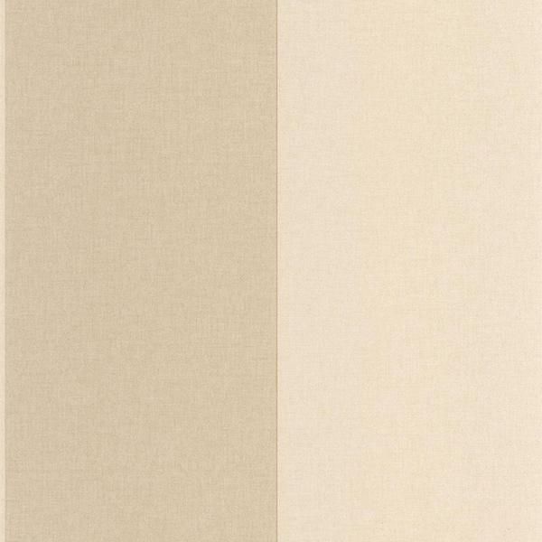 ڳʡ͢ɻ LINE UP -Xxl Lines- CASELIOʥե󥹡ˡ53cmҡ10m 