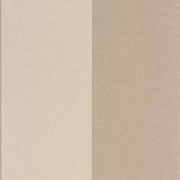 ڳʡ͢ɻ LINE UP -Xxl Lines- CASELIOʥե󥹡ˡ53cmҡ10m 