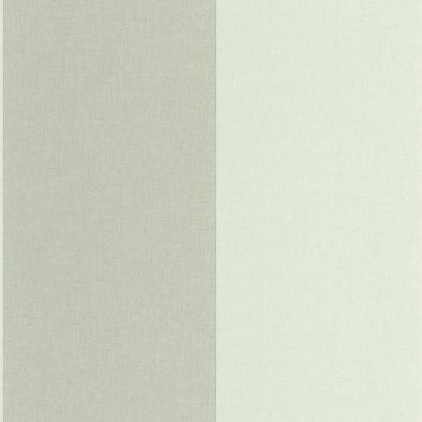 ڳʡ͢ɻ LINE UP -Xxl Lines- CASELIOʥե󥹡ˡ53cmҡ10m 