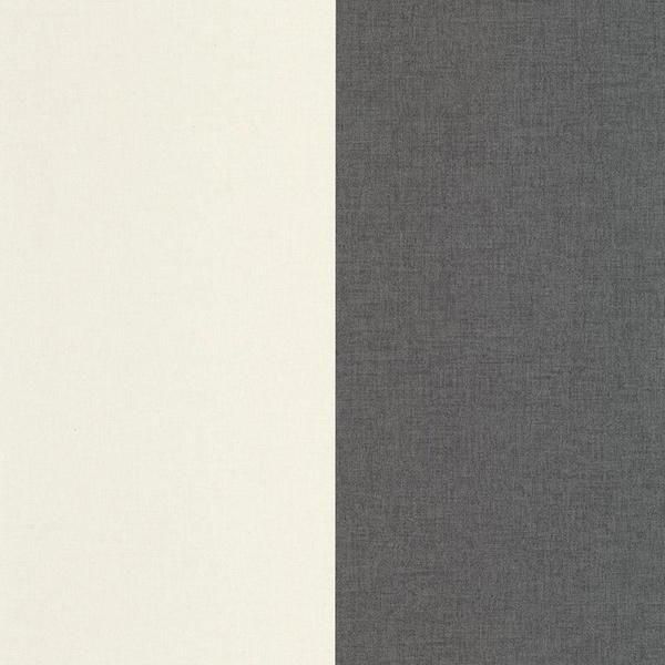 ڳʡ͢ɻ LINE UP -Xxl Lines- CASELIOʥե󥹡ˡ53cmҡ10m 