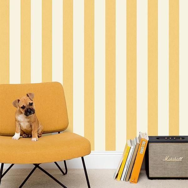 ڳʡ͢ɻ LINE UP -Linen Lines- CASELIOʥե󥹡ˡ53cmҡ10m 