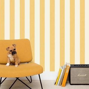 ڳʡ͢ɻ<b>LINE UP</b>-Linen Lines- CASELIOʥե󥹡ˡ53cmҡ10m<img class='new_mark_img2' src='https://img.shop-pro.jp/img/new/icons1.gif' style='border:none;display:inline;margin:0px;padding:0px;width:auto;' />