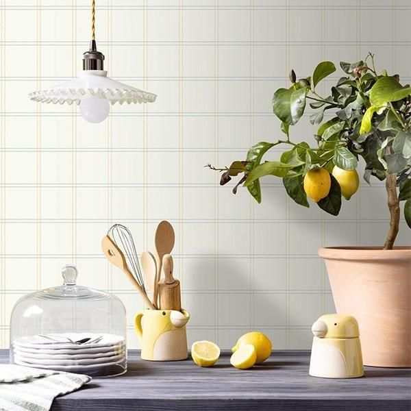 ڳʡ͢ɻ LINE UP -Fine Lines- CASELIOʥե󥹡ˡ53cmҡ10m 