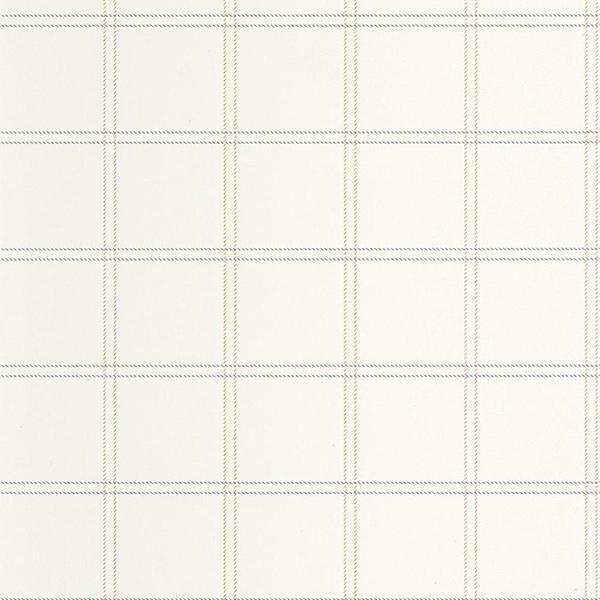 ڳʡ͢ɻ LINE UP -Fine Lines- CASELIOʥե󥹡ˡ53cmҡ10m 