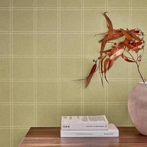 ڳʡ͢ɻ<b>LINE UP</b>-Fine Lines- CASELIOʥե󥹡ˡ53cmҡ10m<img class='new_mark_img2' src='https://img.shop-pro.jp/img/new/icons1.gif' style='border:none;display:inline;margin:0px;padding:0px;width:auto;' />