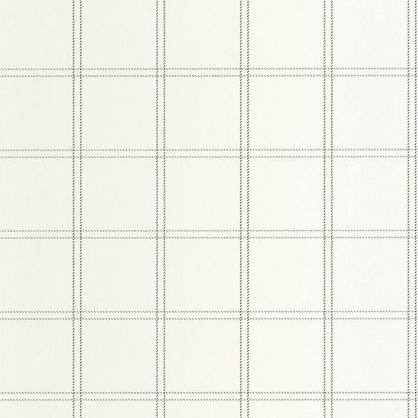 ڳʡ͢ɻ LINE UP -Fine Lines- CASELIOʥե󥹡ˡ53cmҡ10m 