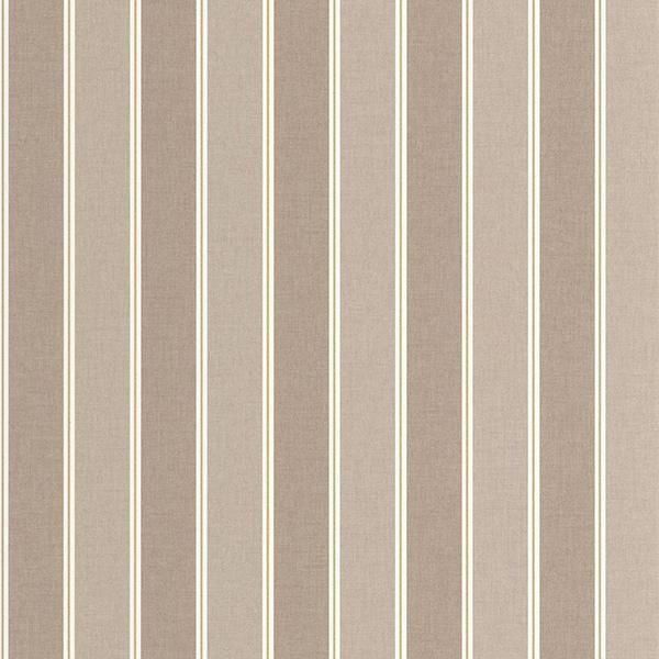 ڳʡ͢ɻ LINE UP -Classic Lines- CASELIOʥե󥹡ˡ53cmҡ10m 