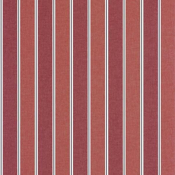 ڳʡ͢ɻ LINE UP -Classic Lines- CASELIOʥե󥹡ˡ53cmҡ10m 