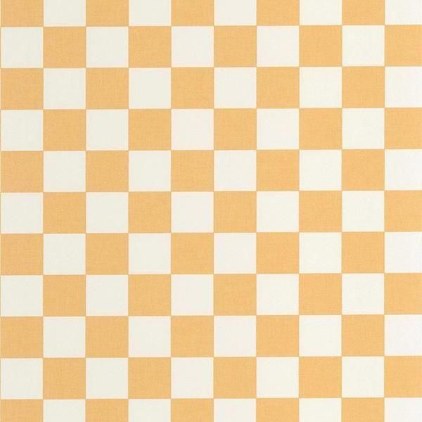 ڳʡ͢ɻ LINE UP -Checks- CASELIOʥե󥹡ˡ53cmҡ10m 