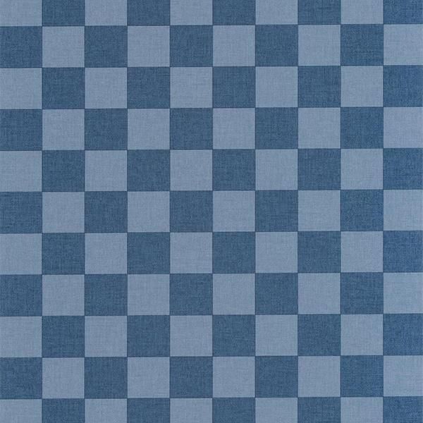 ڳʡ͢ɻ LINE UP -Checks- CASELIOʥե󥹡ˡ53cmҡ10m 