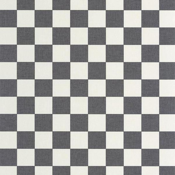 ڳʡ͢ɻ LINE UP -Checks- CASELIOʥե󥹡ˡ53cmҡ10m 