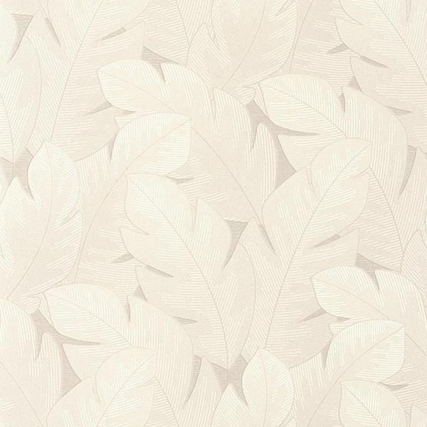 ڳʡ͢ɻ VEGETALS -Yuto- CASADECOʥե󥹡ˡ53cmҡ10m 