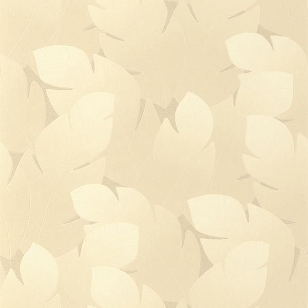 ڳʡ͢ɻ VEGETALS -Yuto- CASADECOʥե󥹡ˡ53cmҡ10m 