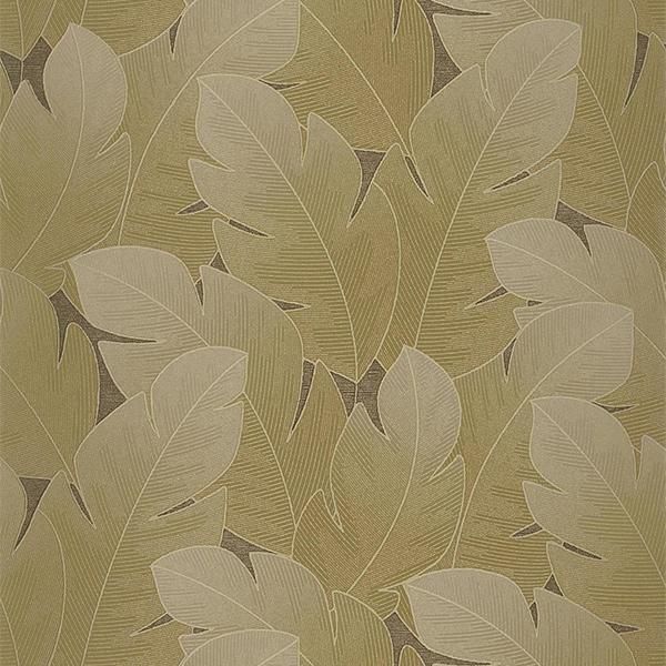 ڳʡ͢ɻ VEGETALS -Yuto- CASADECOʥե󥹡ˡ53cmҡ10m 