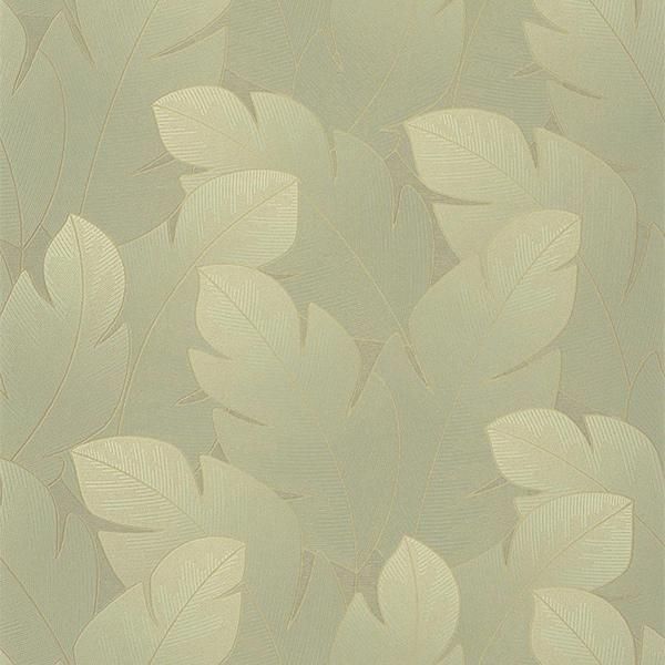 ڳʡ͢ɻ VEGETALS -Yuto- CASADECOʥե󥹡ˡ53cmҡ10m 