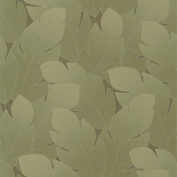 ڳʡ͢ɻ VEGETALS -Yuto- CASADECOʥե󥹡ˡ53cmҡ10m 