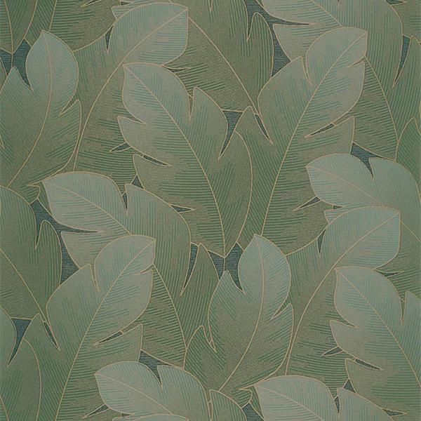 ڳʡ͢ɻ VEGETALS -Yuto- CASADECOʥե󥹡ˡ53cmҡ10m 