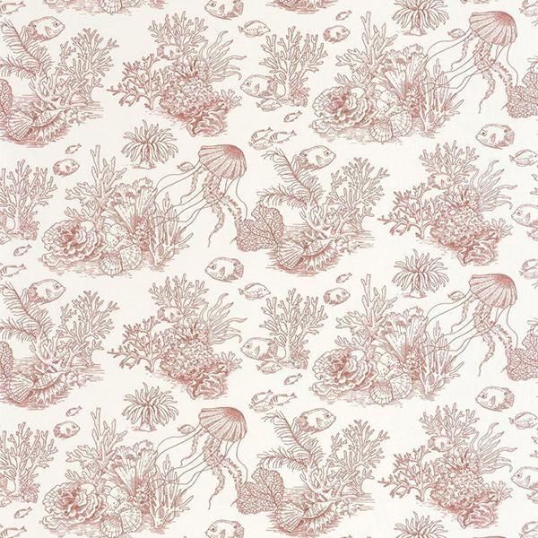 ڳʡ͢ɻ SEASIDE -Cote Sauvager- CASADECOʥե󥹡ˡ53cmҡ10m 