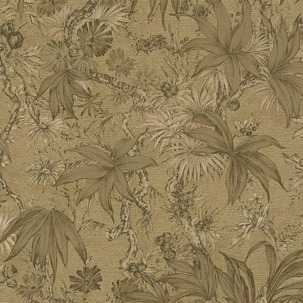 ڳʡ͢ɻ HISTORY OF ART 2 A.S. Creationʥɥġˡ53cmҡ10m 