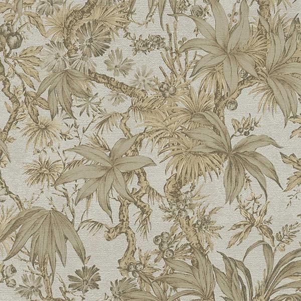 ڳʡ͢ɻ HISTORY OF ART 2 A.S. Creationʥɥġˡ53cmҡ10m 