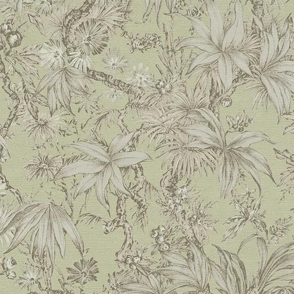 ڳʡ͢ɻ HISTORY OF ART 2 A.S. Creationʥɥġˡ53cmҡ10m 