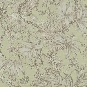 ڳʡ͢ɻ<b>HISTORY OF ART 2</b>A.S. Creationʥɥġˡ53cmҡ10m<img class='new_mark_img2' src='https://img.shop-pro.jp/img/new/icons1.gif' style='border:none;display:inline;margin:0px;padding:0px;width:auto;' />