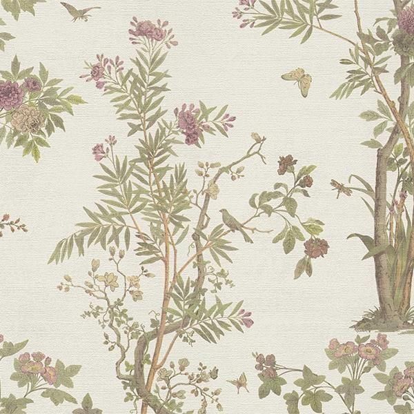 ڳʡ͢ɻ HISTORY OF ART 2 A.S. Creationʥɥġˡ53cmҡ10m 