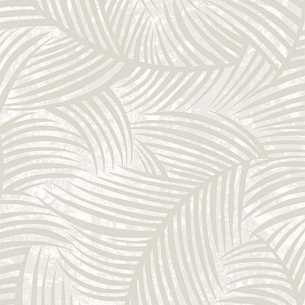 ڳʡ͢ɻ NEUTRAL ELEMENTS -Zephyra- WALLQUESTʥꥫˡ52cmҡ10m