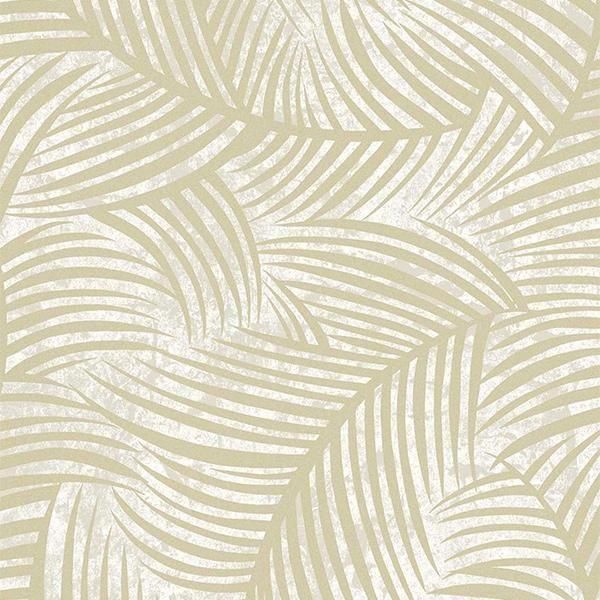 ڳʡ͢ɻ NEUTRAL ELEMENTS -Zephyra- WALLQUESTʥꥫˡ52cmҡ10m