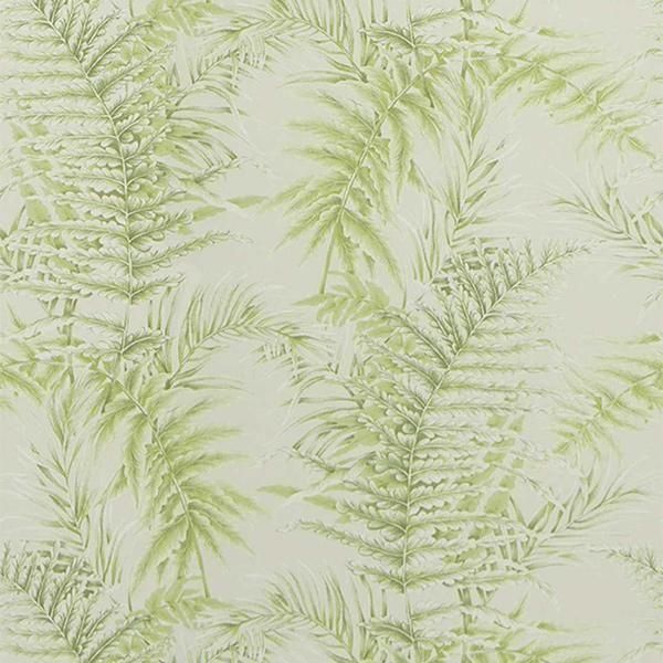 ڳʡ͢ɻ TERRA REVERIE -Royal Fern- JIM THOMPSONʥꥫˡ70cmҡ10m