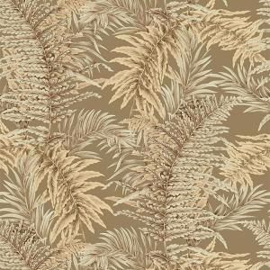 ڳʡ͢ɻ<b>TERRA REVERIE</b>-Royal Fern- JIM THOMPSONʥꥫˡ70cmҡ10m