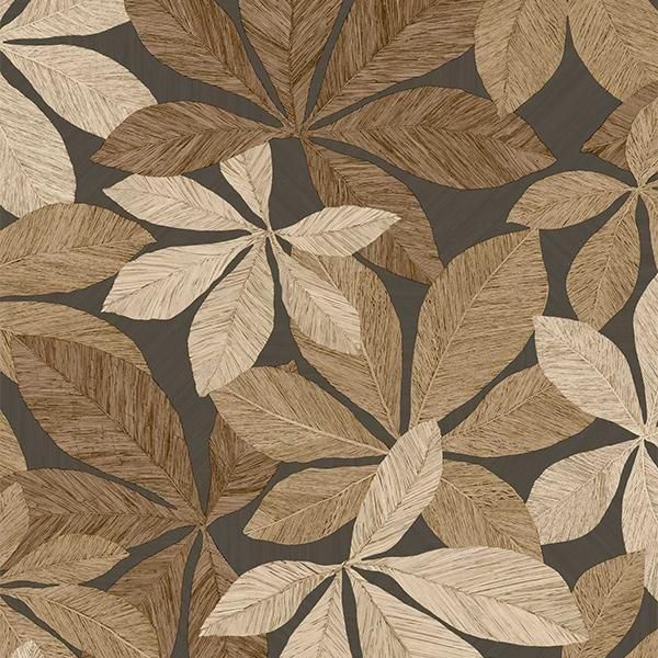 �ڳ�������ʡ�͢���ɻ� ��WOODLINE�� -Lignaria- CASELIO�ʥե�󥹡ˡ�53cm�ҡ�10m����