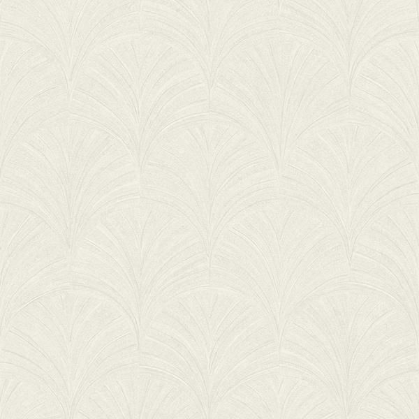 �ڳ�������ʡ�͢���ɻ� ��SYMPHONY�� -Vibration- CASELIO�ʥե�󥹡ˡ�53cm�ҡ�10m����