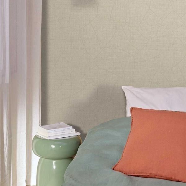 �ڳ�������ʡ�͢���ɻ� ��SYMPHONY�� -Melody- CASELIO�ʥե�󥹡ˡ�53cm�ҡ�10m����