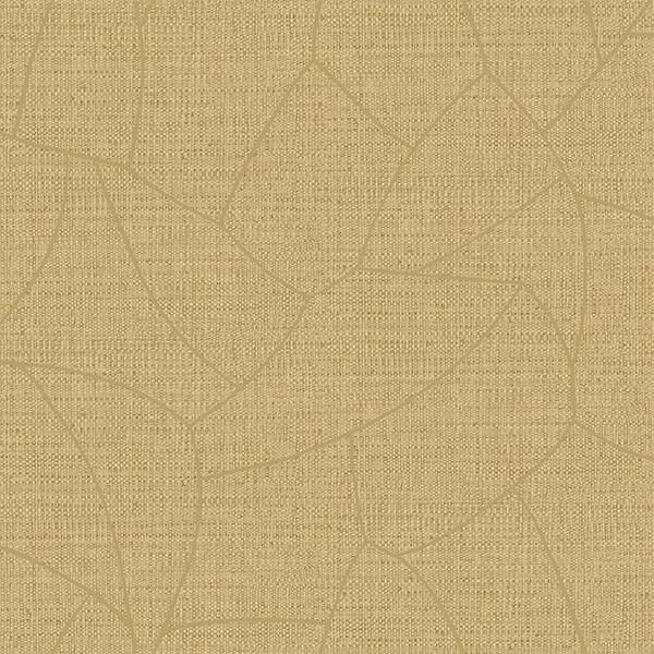 �ڳ�������ʡ�͢���ɻ� ��SYMPHONY�� -Melody- CASELIO�ʥե�󥹡ˡ�53cm�ҡ�10m����