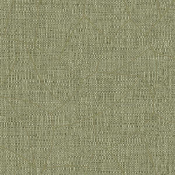 �ڳ�������ʡ�͢���ɻ� ��SYMPHONY�� -Melody- CASELIO�ʥե�󥹡ˡ�53cm�ҡ�10m����