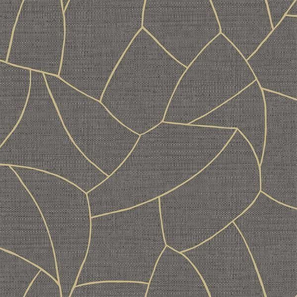 �ڳ�������ʡ�͢���ɻ� ��SYMPHONY�� -Melody- CASELIO�ʥե�󥹡ˡ�53cm�ҡ�10m����