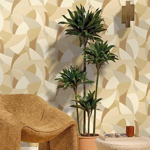 �ڳ�������ʡ�͢���ɻ� ��SYMPHONY�� -Concerto- CASELIO�ʥե�󥹡ˡ�53cm�ҡ�10m����