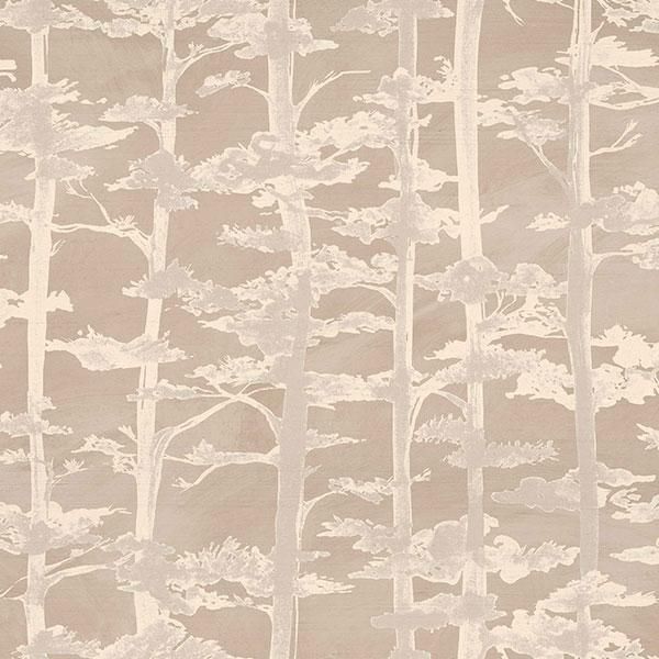 �ڳ�������ʡ�͢���ɻ� ��LEGENDES�� -Ame- CASAMANCE�ʥե�󥹡ˡ�100cm�ҡ�10m����