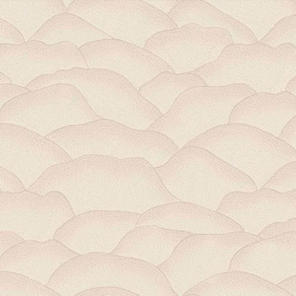 �ڳ�������ʡ�͢���ɻ� ��BRODERIES�� -Ondula- CASAMANCE�ʥե�󥹡ˡ�100cm�ҡ�10m����