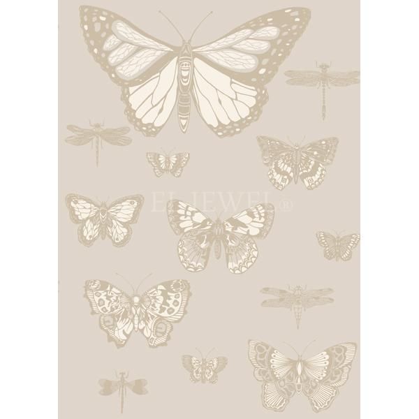 㳤ʢ͢ɻ ڥꥹCole&Son BUTTERFLIES&DRAGONFLIES 졼 52cmҡ10m