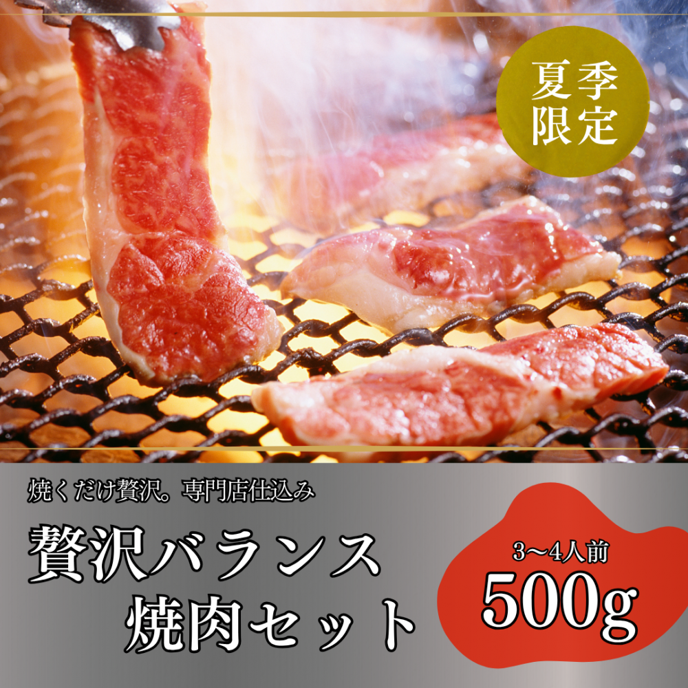 <img class='new_mark_img1' src='https://img.shop-pro.jp/img/new/icons3.gif' style='border:none;display:inline;margin:0px;padding:0px;width:auto;' />Х󥹾å500g - ࡦ -
