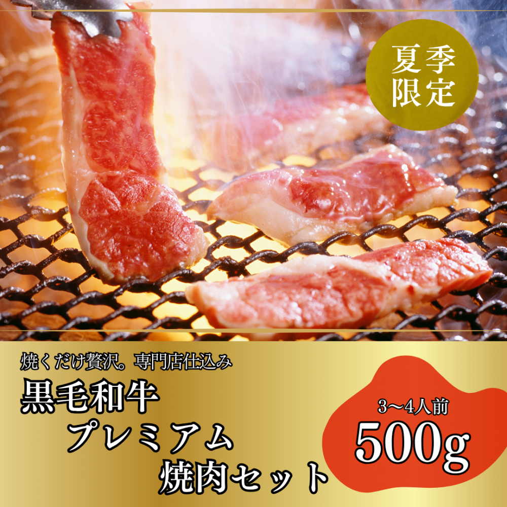 <img class='new_mark_img1' src='https://img.shop-pro.jp/img/new/icons3.gif' style='border:none;display:inline;margin:0px;padding:0px;width:auto;' />µץߥå500g - ࡦ -