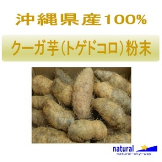 沖縄産100%クーガ芋（トゲドコロ）粉末パウダー1kg(100gx10)