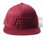 <img class='new_mark_img1' src='https://img.shop-pro.jp/img/new/icons14.gif' style='border:none;display:inline;margin:0px;padding:0px;width:auto;' />VANS USA LINE  BB CAP - D -