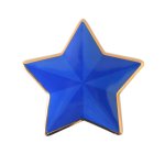 <img class='new_mark_img1' src='https://img.shop-pro.jp/img/new/icons14.gif' style='border:none;display:inline;margin:0px;padding:0px;width:auto;' />70s Vintage Tiffany STAR BOX - A1