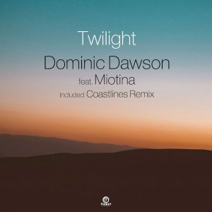 <img class='new_mark_img1' src='https://img.shop-pro.jp/img/new/icons1.gif' style='border:none;display:inline;margin:0px;padding:0px;width:auto;' />Dominic Dawson / Twilight (Included Coastlines Remix) 