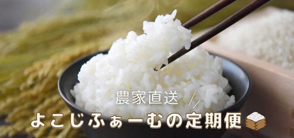 ¤è¤³¤¸¤Õ¤¡¡¼¤à¤ÎÄê´üÊØ