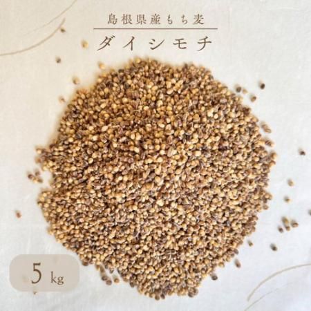隠岐の島町産】もち麦 ダイシモチ5kg - 米・米粉・もち麦の